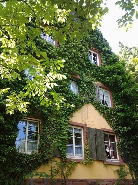 Gastehaus Zum Alten Schulhaus Hotel Miltenberg Kamer foto