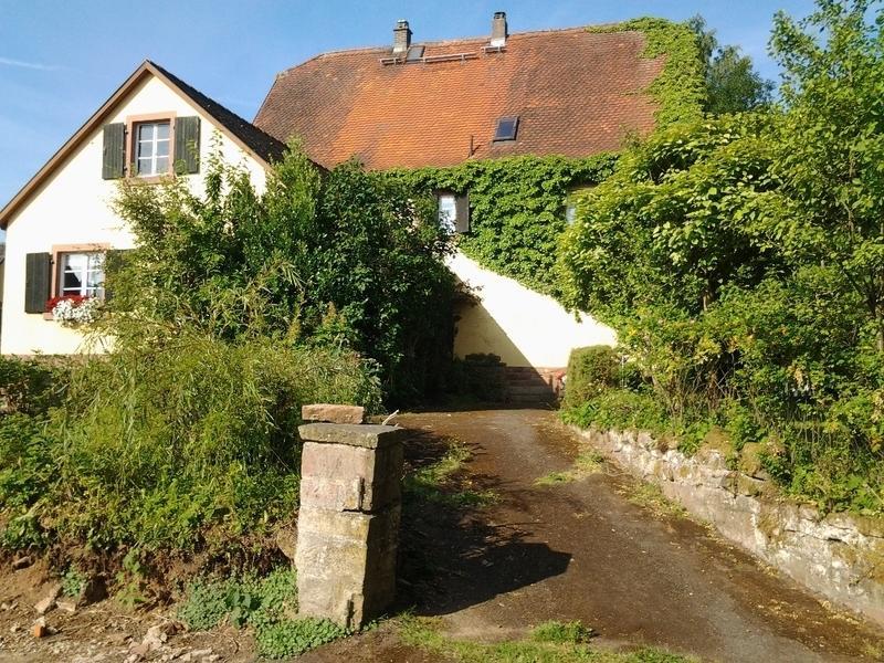 Gastehaus Zum Alten Schulhaus Hotel Miltenberg Kamer foto